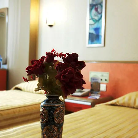 Sahinler イスタンブール